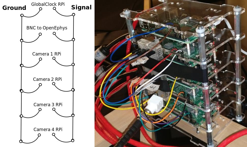 _images/GlobalClockWiring.jpg